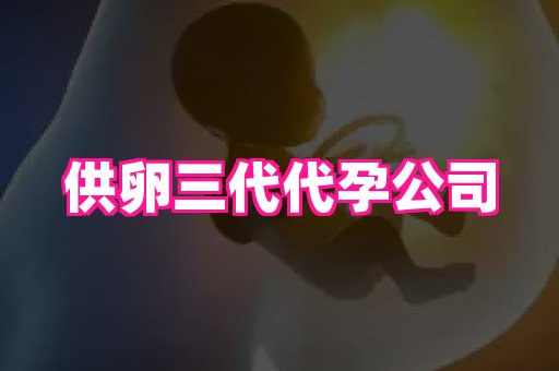 61助孕网 2