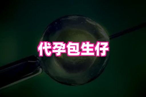 61助孕网 3